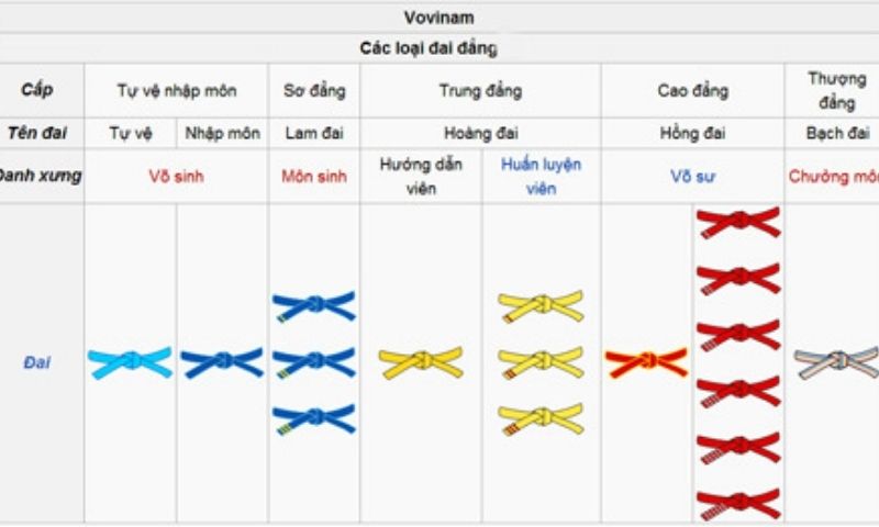 Tại sao lại chia thành các đai của Vovinam?