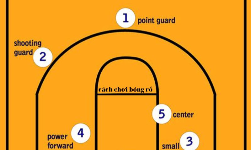 Tổng hợp các vị trí trong bóng rổ